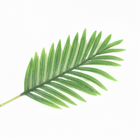 Frunze tropicale - Frunza Palmier Phoenix Canariensis - 70 cm