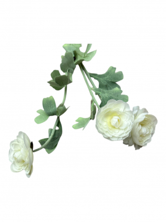 img-attr