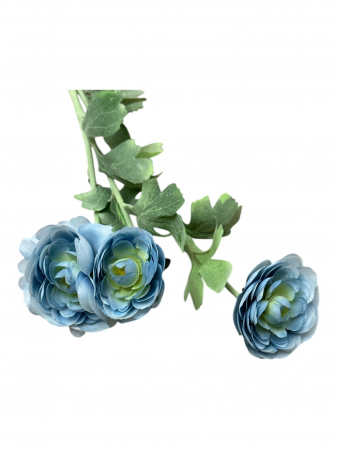 img-attr