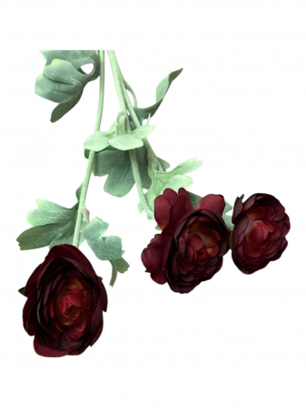 img-attr