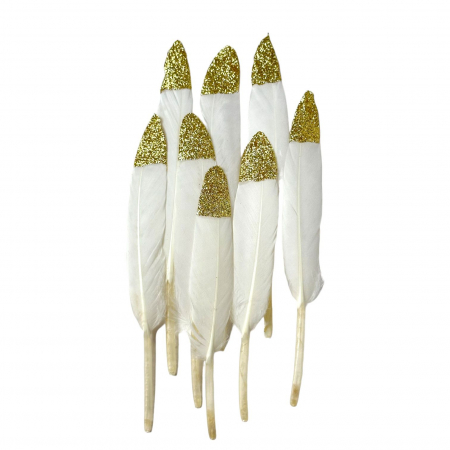 Pene - Set 20 pene decorative - 15 cm