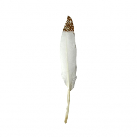 Set 20 pene decorative - 15 cm [1]