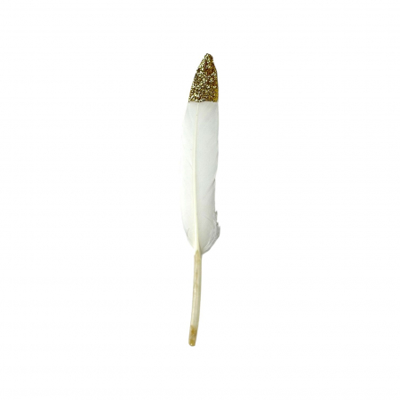 Set 20 pene decorative - 15 cm [1]