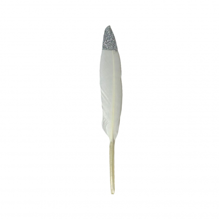 Set 20 pene decorative - 15 cm [1]