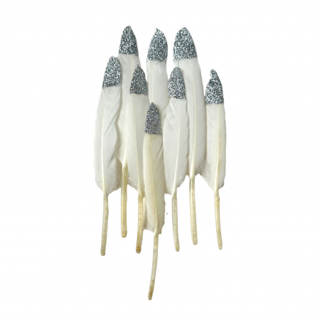 DIY & Bricolaj - Set 20 pene decorative - 15 cm
