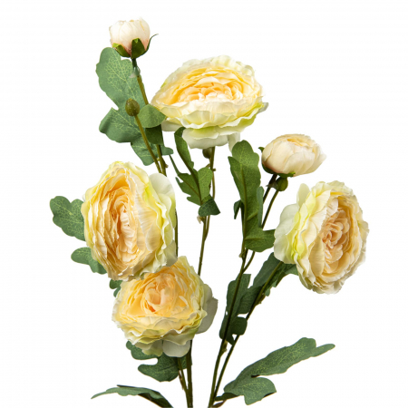 Ranunculus - Ranunculus artificial, Elegance - 80 cm