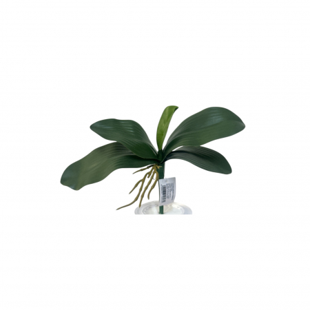 Plante & Vegetatie artificiala - Tulpina cu 5 frunze artificiale de orhidee