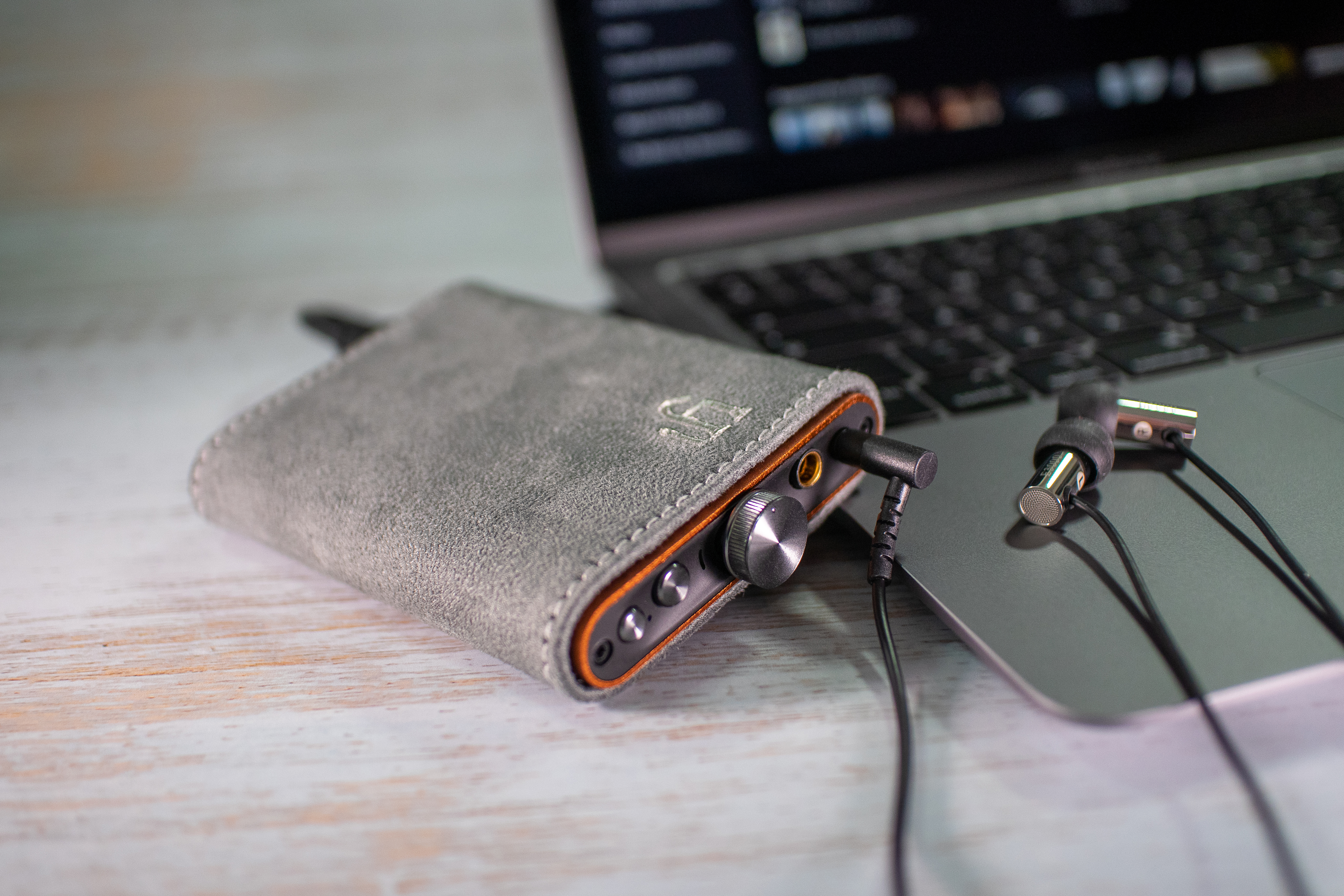 iFi Audio hip-case [2]