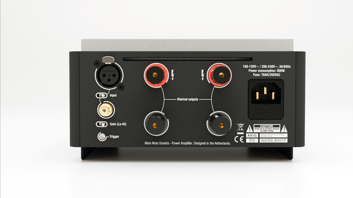Amplificatoare de putere monoblocuri Mola Mola Ossetra (pereche) [4]