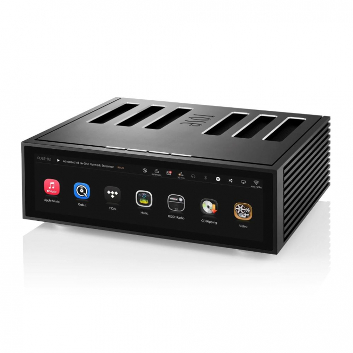 Amplificator cu streaming Rose RS520 [2]