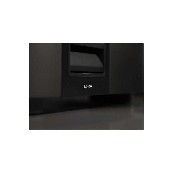 Amplificator de putere Classe DELTA 3 MONO [6]
