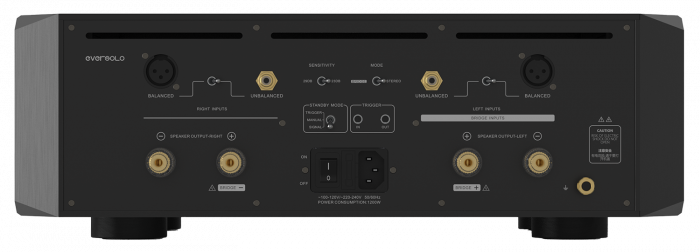 Amplificator EverSolo AMP-F10 [2]
