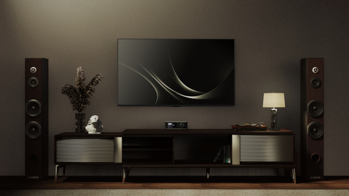 Amplificator integrat Wiim Amp Ultra [5]