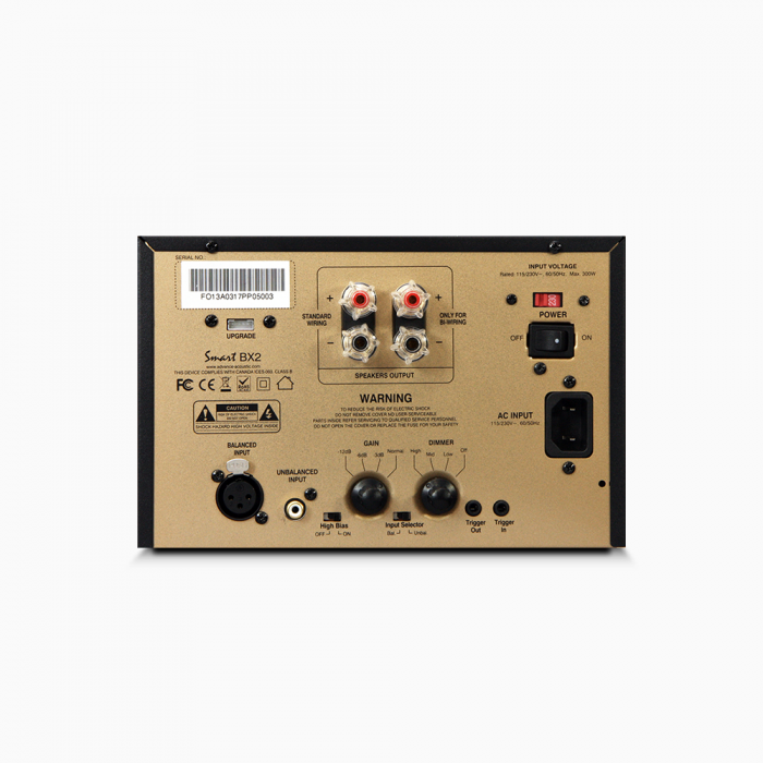 Advance Acoustic BX-2 [2]