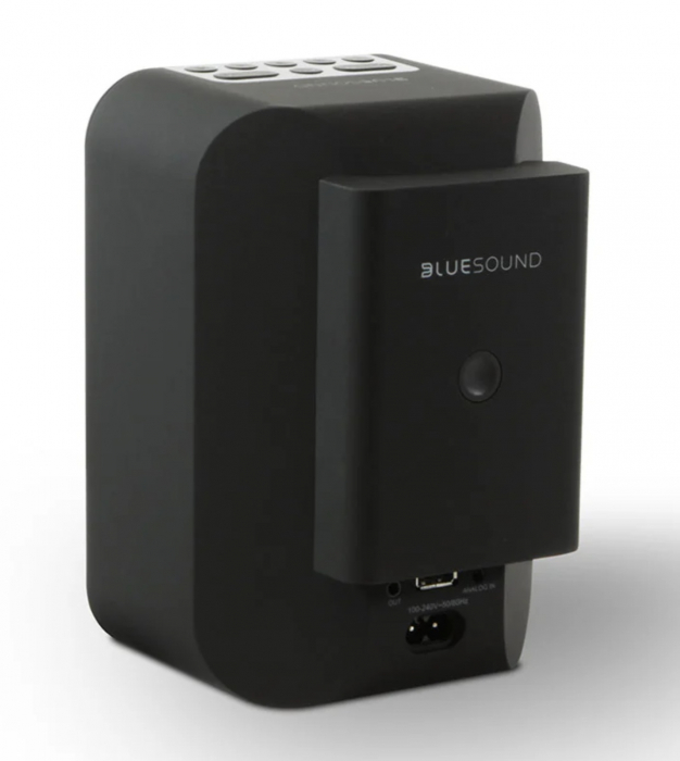 Baterie Bluesound BP100 pentru PULSE FLEX [3]