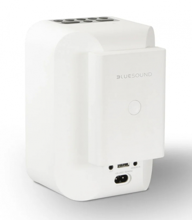 Baterie Bluesound BP100 pentru PULSE FLEX [3]
