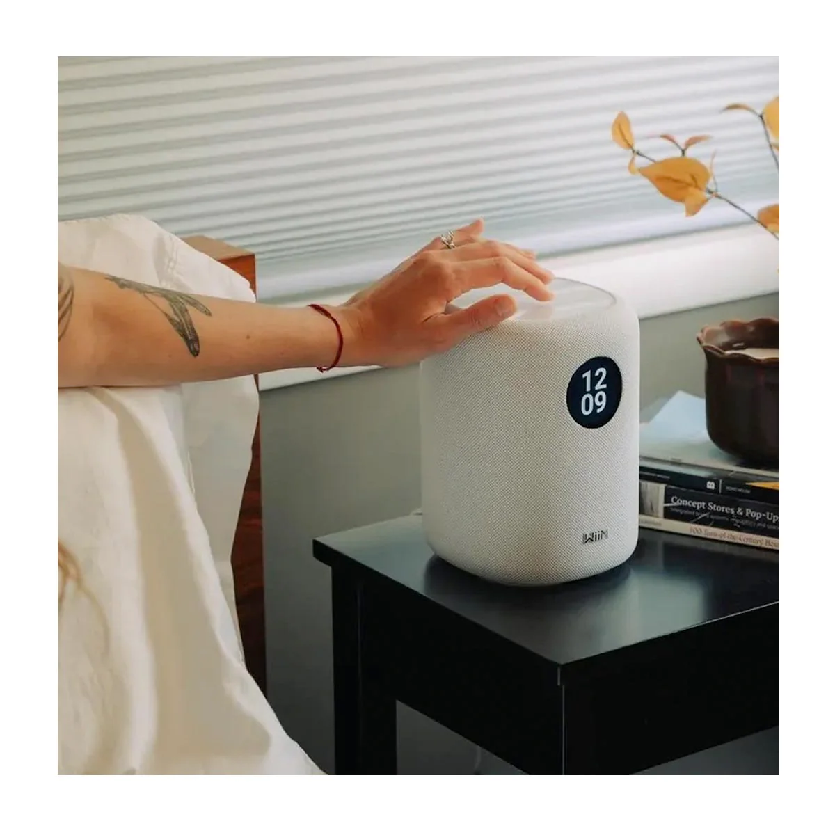 Boxa activa Wiim Sound [4]