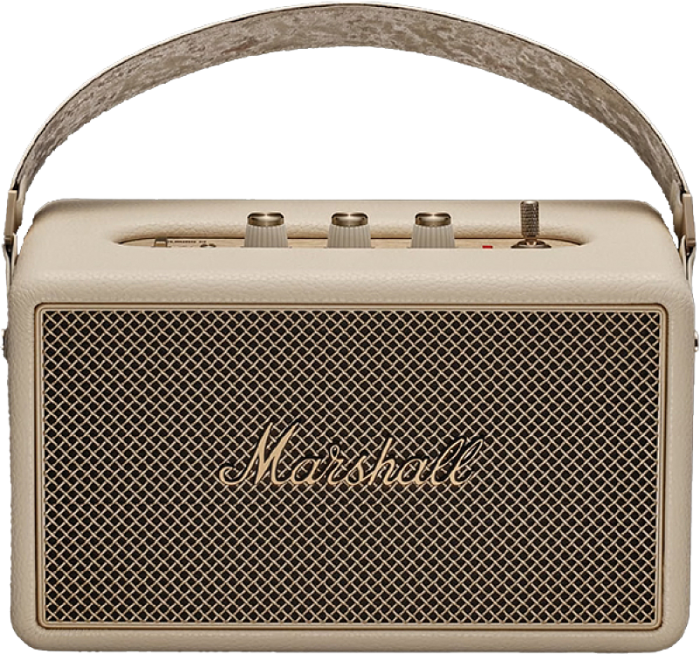Boxa amplificata Marshall Kilburn III [2]