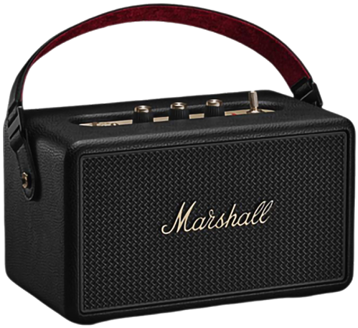 Boxa amplificata Marshall Kilburn III [2]