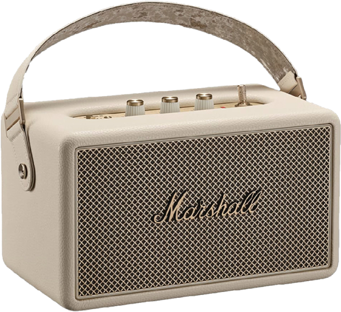 Boxa amplificata Marshall Kilburn III [3]