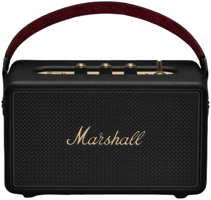 Boxa amplificata Marshall Kilburn III [6]