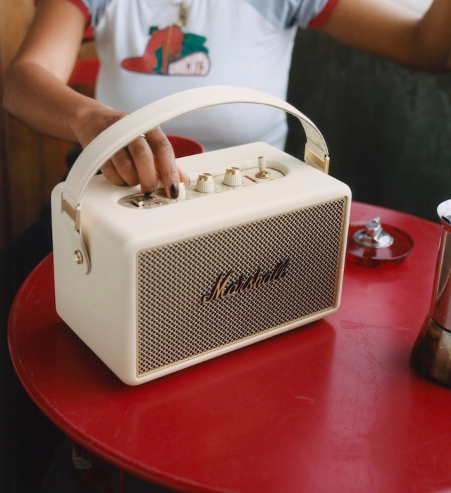 Boxa amplificata Marshall Kilburn III [5]