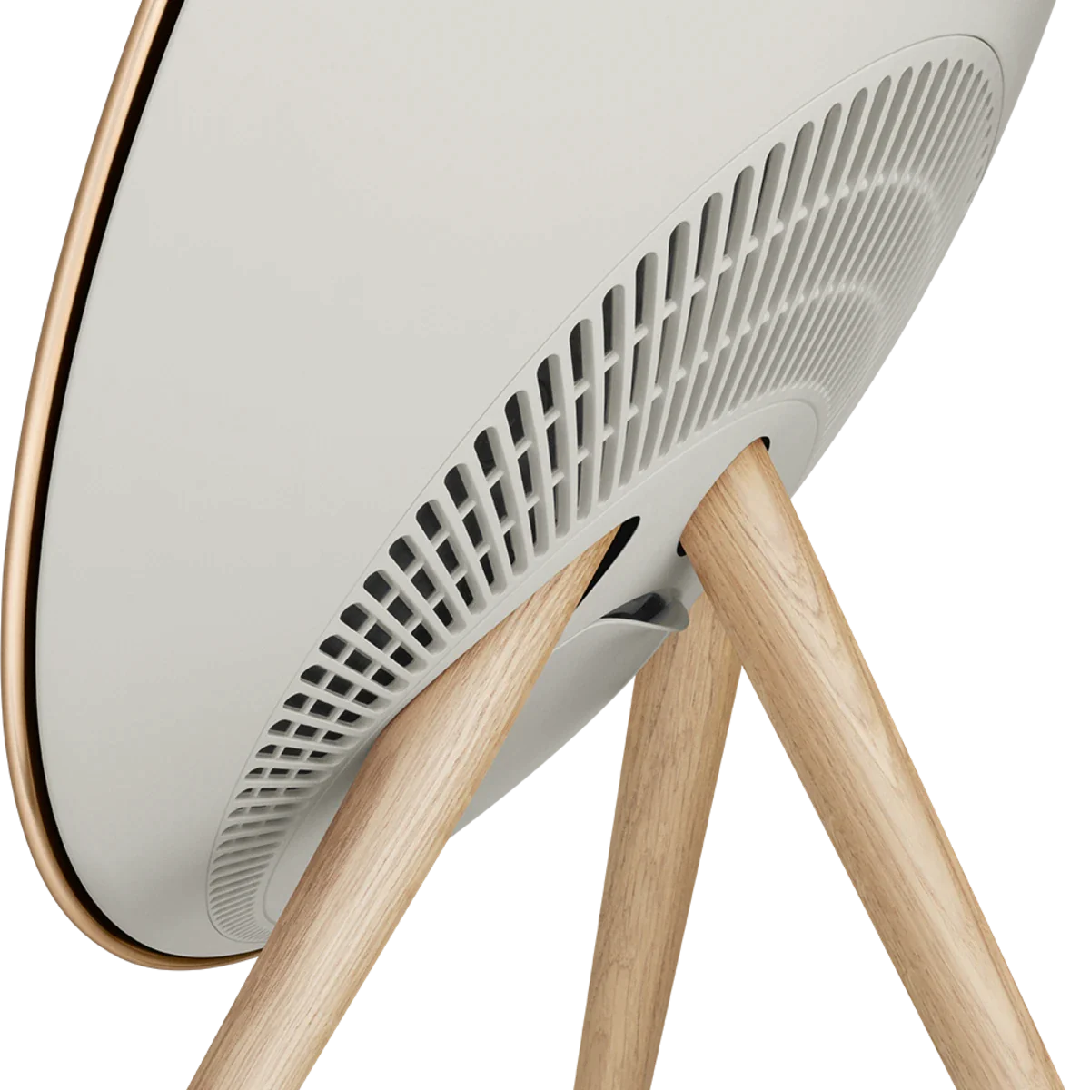 Boxa Bang & Olufsen Beosound A9 5th Generation [3]