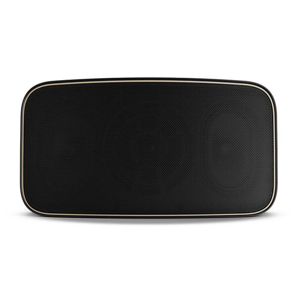 Boxa de exterior DALI Gardian OW6 [3]