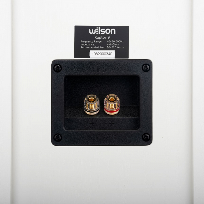 Boxa de podea Wilson RAPTOR 9 [10]