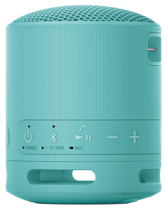 Boxa portabila Sony SRS XB100 [2]