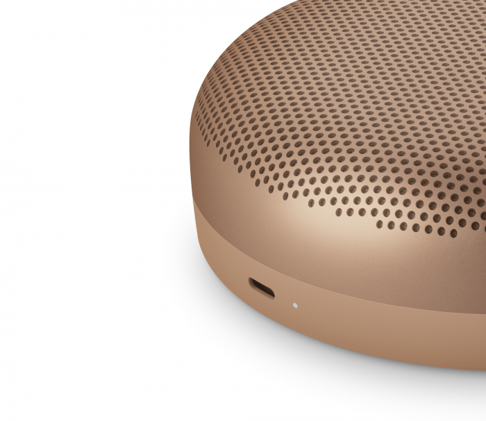Boxe active Bang & Olufsen Beosound A1 3rd gen [2]