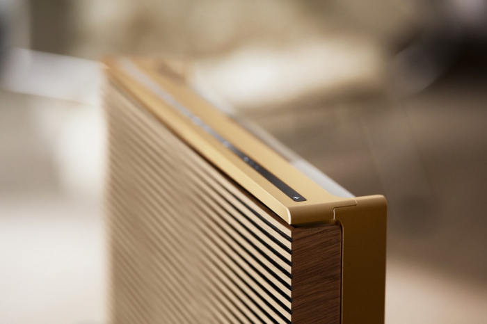 Boxe active Bang&Olufsen Beosound Level [2]