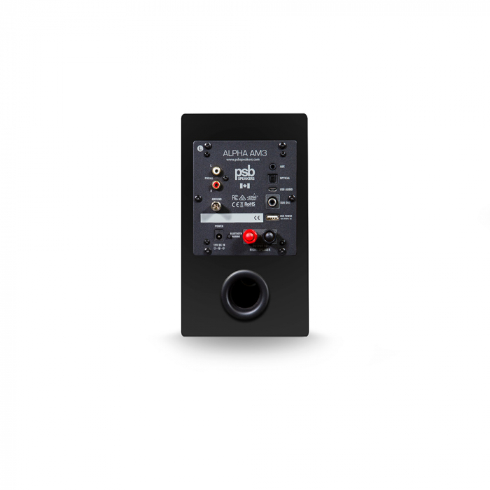 Boxe active PSB Alpha AM3 [4]