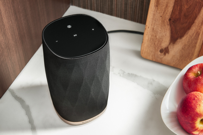Boxe Bowers & Wilkins Formation Flex [3]