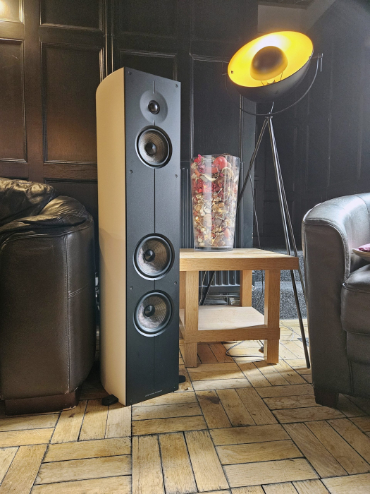 Boxe de podea Acoustic Energy Corinium [4]