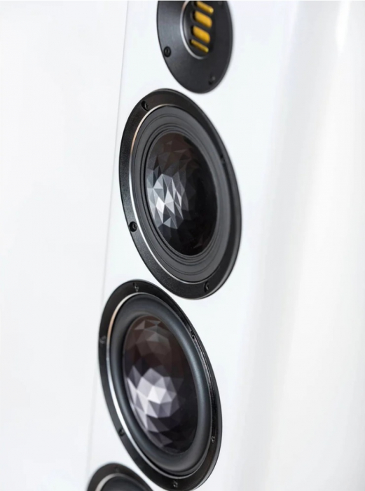 Boxe de podea ELAC Vela FS 409 [5]