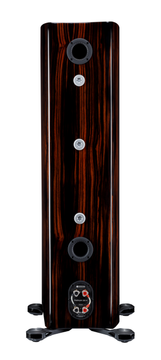 Boxe de podea Monitor Audio Platinum 300 3G [2]