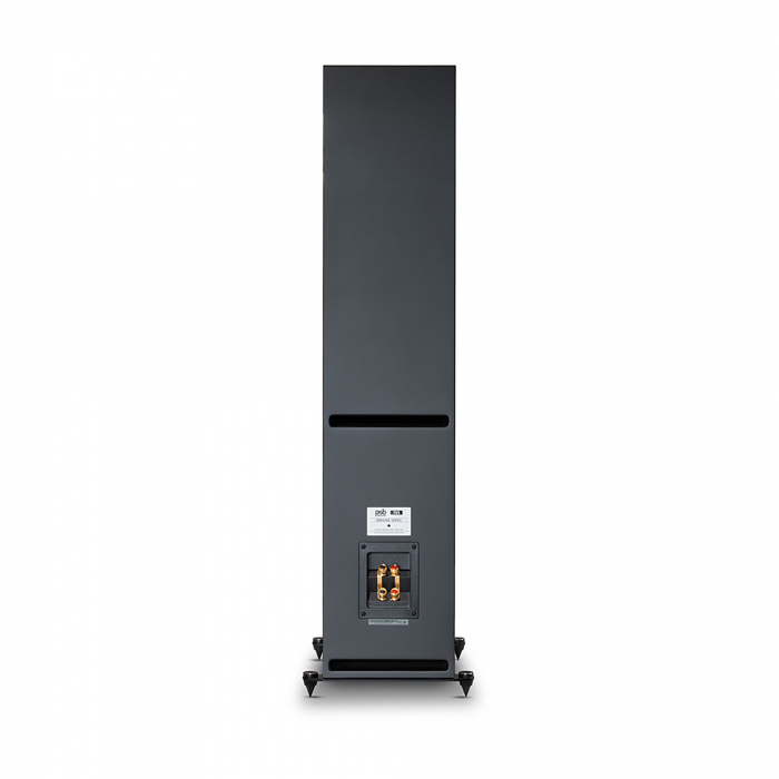 Boxe de podea PSB Imagine T65 [5]