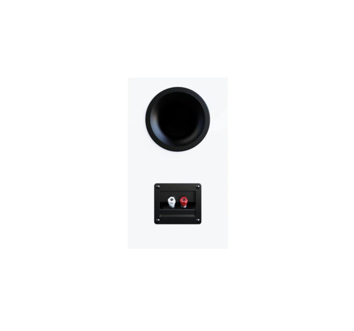 Boxe de raft Elac Debut 3.0 DB63 [3]