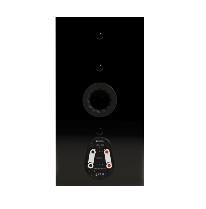 Boxe de raft Monitor Audio Silver 100 8G [3]