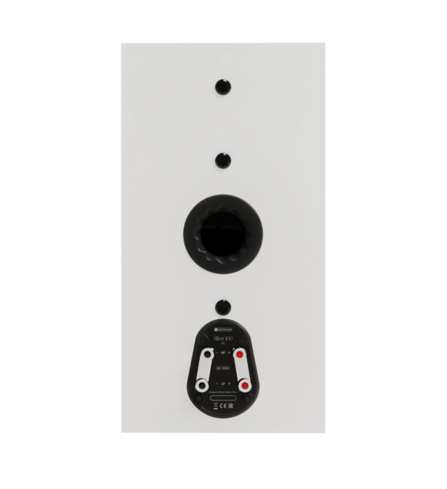 Boxe de raft Monitor Audio Silver 100 8G [3]