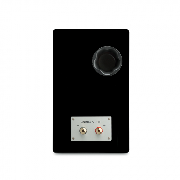 Yamaha NS-3000 [4]