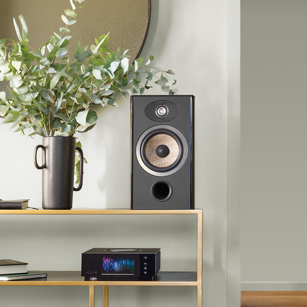 Boxe Focal ARIA EVO X NÂ°1 [9]