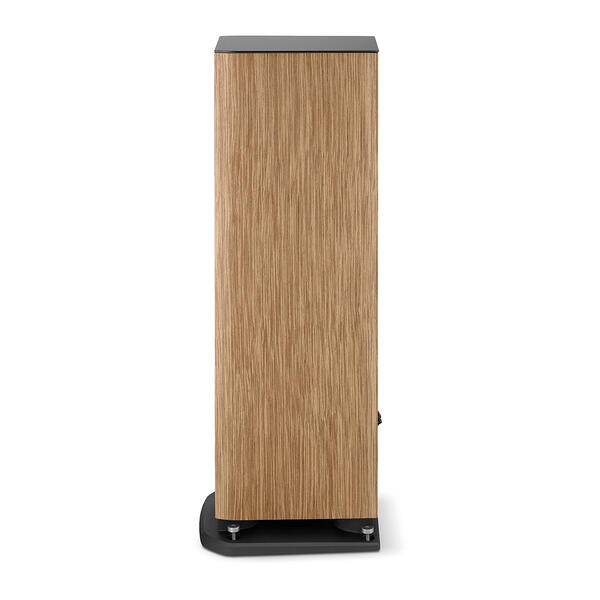 Boxe Focal ARIA EVO X NÂ°2 [6]