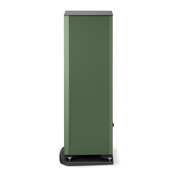 Boxe Focal ARIA EVO X NÂ°2 [6]