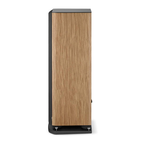 Boxe Focal ARIA EVO X NÂ°2 [5]