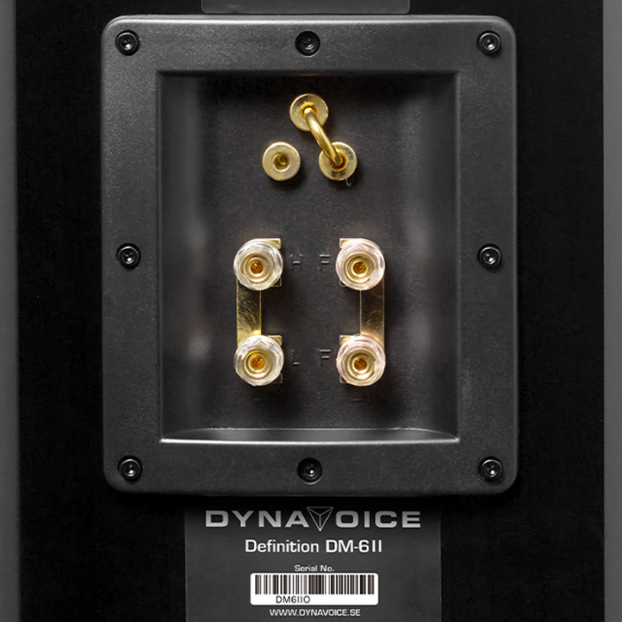 Boxe de raft Dynavoice DM-6 II 1 [2]