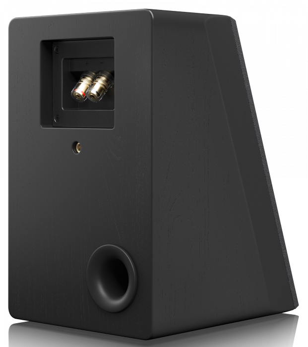 Boxe Dolby Atmos SVS Ultra Elevation [2]