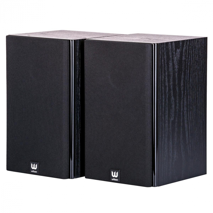Boxe Wilson RAPTOR MINI [2]