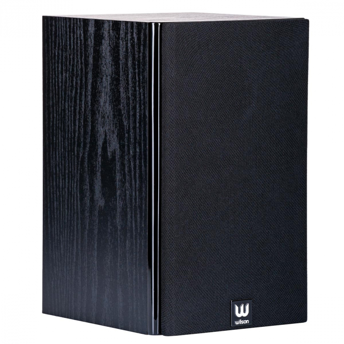 Boxe Wilson RAPTOR MINI [6]